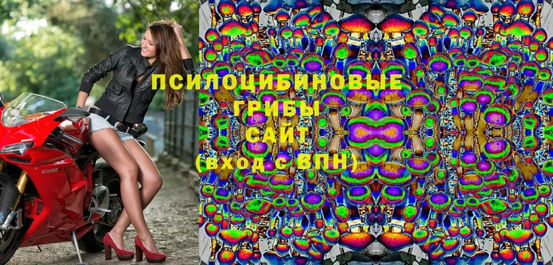 Галлюциногенные грибы Magic Shrooms Ефремов